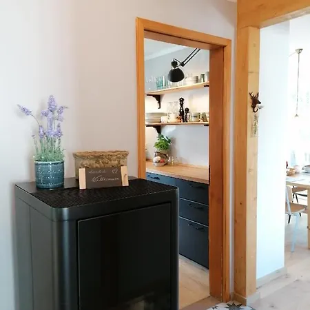 Waelder: Quartier Haus Im Glueck Nyaraló St. Blasien