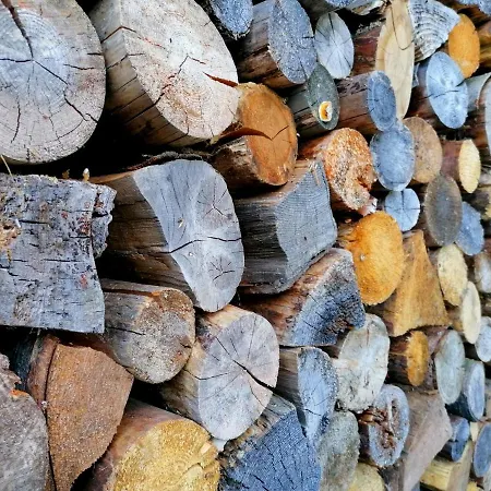 Сasa de vacaciones Wälder: Quartier Haus Im Glück *