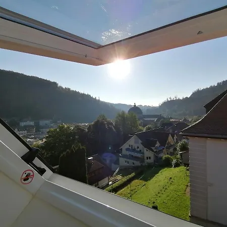 Waelder: Quartier Haus Im Glueck Nyaraló St. Blasien