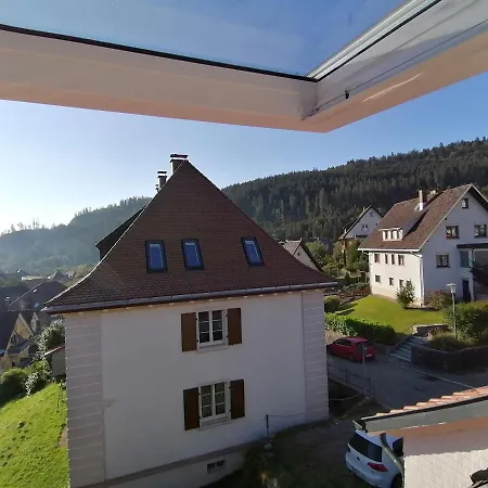 Holiday home Waelder: Quartier Haus Im Glueck St. Blasien