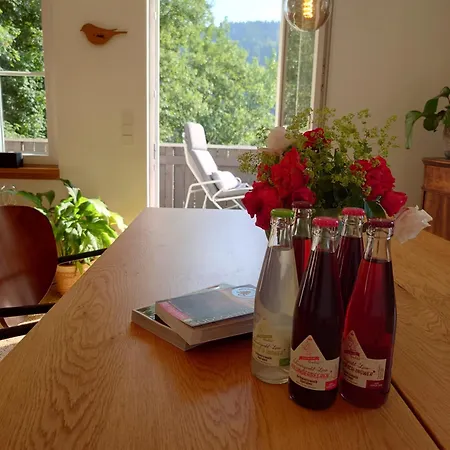 Waelder: Quartier Haus Im Glueck Nyaraló St. Blasien